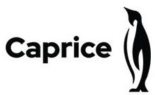 Caprice Artistic Swim Club